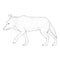 Wolf Walking Side View Vector Sketch Illustration