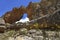 Wolfberg Arch Cederberg wilderness Western Cape