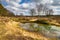 Wolfhezer heath nature momument area in Gelderland, Netherlands