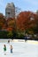 Wollman Rink is most popular and well-known ice skating rink in Central Park. New York City