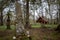 Wolosate, Malopolskie / Poland - April, 28, 2019: Old cemetery in a village in the mountains. Burial place in a small village