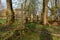 Wolosate, Malopolskie / Poland - April, 28, 2019: Old cemetery in a village in the mountains. Burial place in a small village