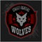 Wolves - military label, badges and design