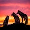 wolves silhouette on sunset