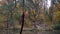 Woman acrobat hanging on the aerial silk and shows a show of air acrobatics in the forest.