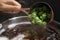 Woman adding fresh green hops to beer wort in pot