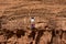 Woman admiring desert landscape on a cliff