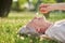 Woman admiring flower lying on grass