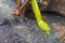 Woman in African outfit on the verge of fluent river. Interacting with water. Angola.