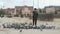 Woman aged 60s feeding flock of pigeons