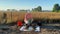 Woman agriculturist performing soil analysis, taking notes at field