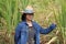 Woman agriculturist standing and catch sugarcane leaf on her left hand, with straw hat and wearing Long sleeve denim shirt in the