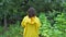 Woman agriculturist in yellow raincoat, walks through rows of cultivated vegetables, inspects plantation in organic farm