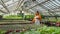 Woman agronomist checking growth of plants wrtites notes in notepad.