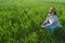 A woman agronomist checks the quality of crops in the field.