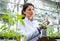 Woman agronomist doing experiment on seedlings and soil in greenhouse