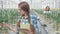 Woman agronomist examines green plants in greenhouse on hydroponics indoors.