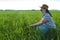 A woman agronomist in the field is engaged in quality control of crops.
