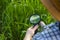 A woman agronomist in the field examines the sprouts of crops in a magnifying glass.