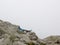 A woman alone, lying down, reads a book on the top of a mountain on a foggy summer day