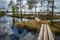 A woman alone sits on an island on a lake among a high bog