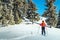 Woman alpine touring skier on the hills, Transylvania, Romania, Europe