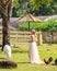 Woman amidst grazing sheep on a lush green farm.