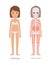 Woman Anatomy and Skeleton Struct Colorful Banner