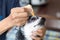 Woman applying antibiotic eye drops to dog`s eye