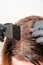 Woman applying a color tint to the brown hair using a brush. Dyeing of gray roots of hair at home.