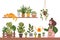 A woman in an apron watering houseplants, cartoon style. Potted plants for interior. Urban Cozy home gardening hobby