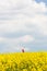 Woman with arms raised high, enjoying freedom