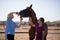 Woman assisting vet for checking horse teeth