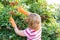 Woman in the autumn harvests viburnum