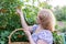 Woman in the autumn harvests viburnum