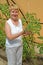 The woman of average years with plants of tomatoes in the greenhouse