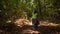 Woman with baby and stroller walking in forest. View from back