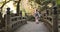 Woman, back and walking in garden with kimono or Japanese fashion on bridge in forest. Traditional, style and girl with