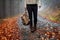 Woman with backpack and hiking boot walking on trail in autumn forest