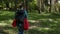 Woman with backpack walking in forest area - enjoying nature