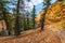 Woman Backpacker hiking down the Ponderosa Canyon Bryce National