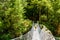 Woman backpacker on trekking path crossing a suspended bridge in Annapurna Conservation Area, Nepal