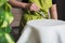 woman in bakery decorating wedding cake with white fondant