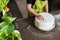 Woman in bakery decorating wedding cake with white fondant, view from above