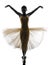 Woman ballerina ballet dancer dancing silhouette