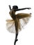 Woman ballerina ballet dancer dancing silhouette