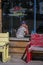 A woman with baseball cap drinks and contemplates in bar, along highway 24, central Colorado