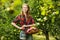 Woman with basket full of ripe apples in a garden. Young smiling