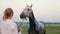 woman bathes the horse, washes and takes care of. Water from the hose pours on the horse. Bathing after training, the