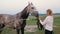 woman bathes the horse, washes and takes care of. Water from the hose pours on the horse. Bathing after training, the